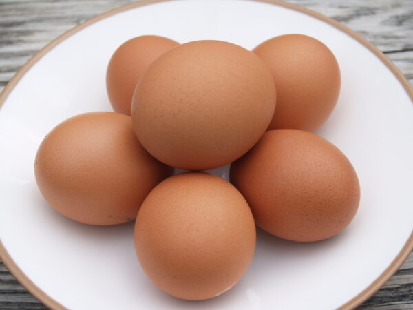 Organic Brown Eggs