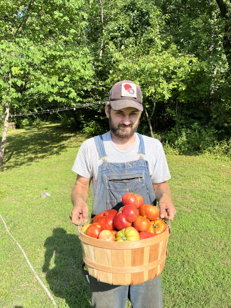 Mountain's Tomatoes